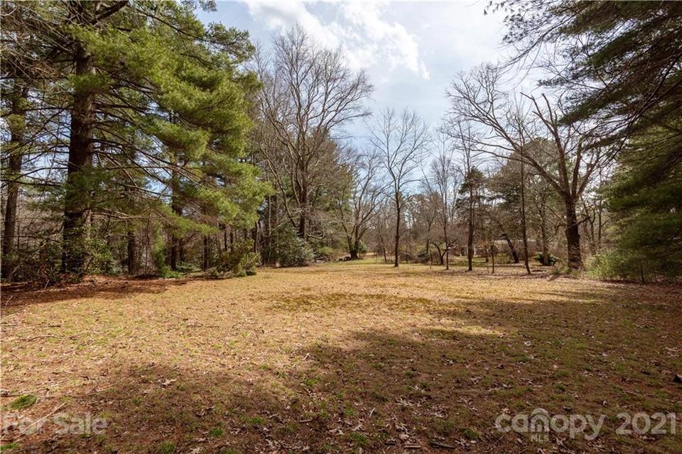  Springside Road, Asheville, NC 28803 photo 9