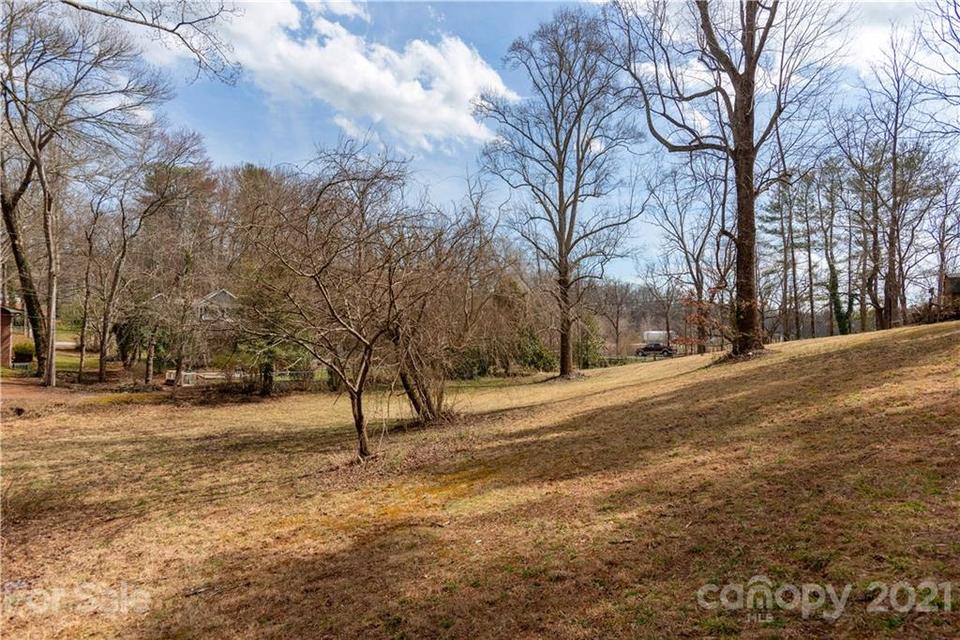  Springside Road, Asheville, NC 28803 photo 14