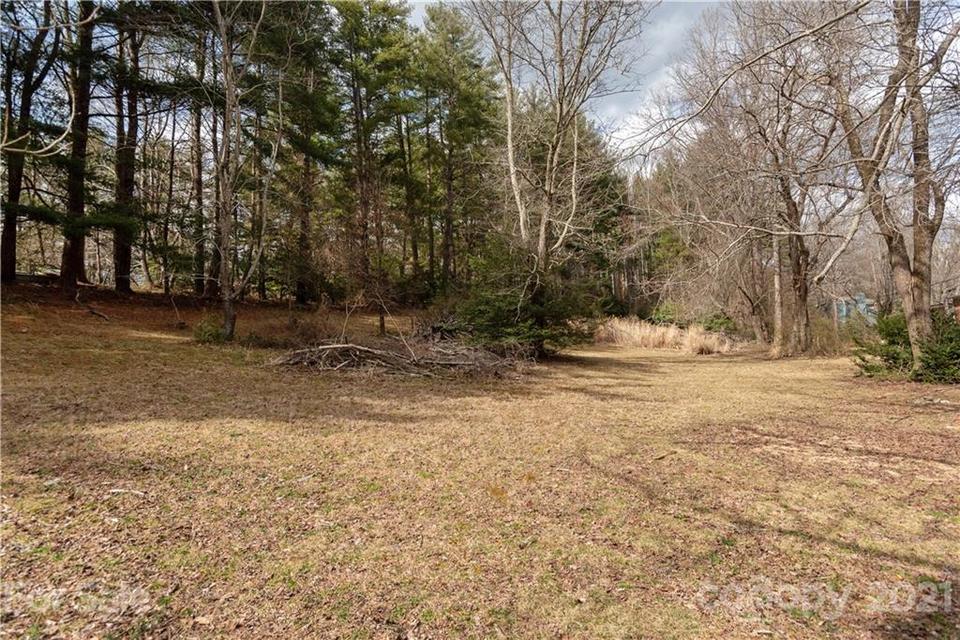  Springside Road, Asheville, NC 28803 photo 15