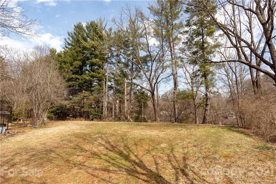  Springside Road, Asheville, NC 28803 photo 7