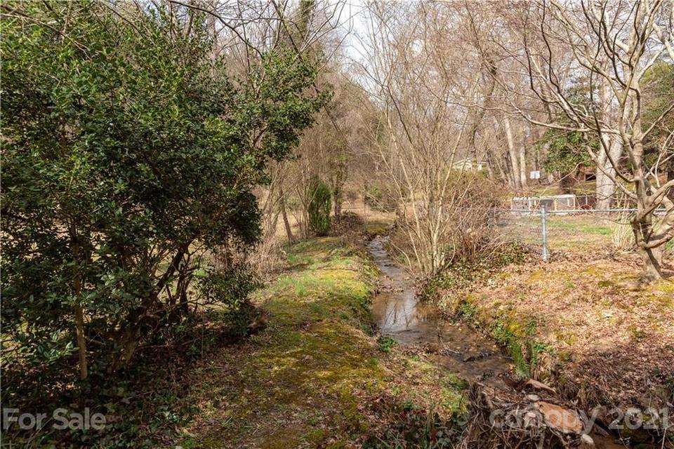  Springside Road, Asheville, NC 28803 photo 12