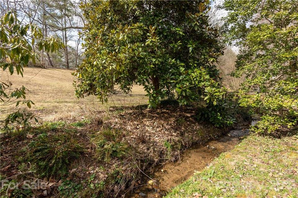  Springside Road, Asheville, NC 28803 photo 13