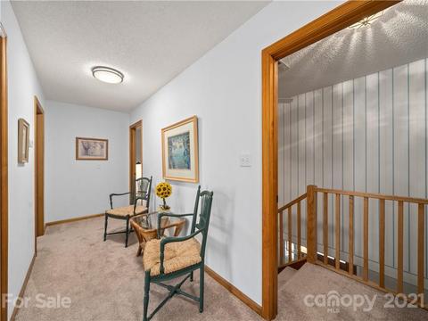 1003 Kanasgowa Dr, Brevard, NC 28712 photo 36