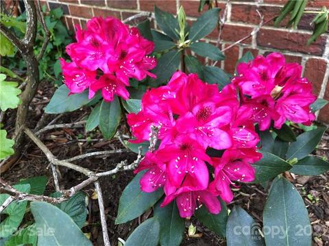 123 9th Ave, Conover, NC 28613 photo 19