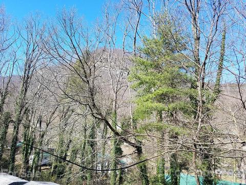 368 E Southside Dr E, Chimney Rock, NC 28720 photo 11