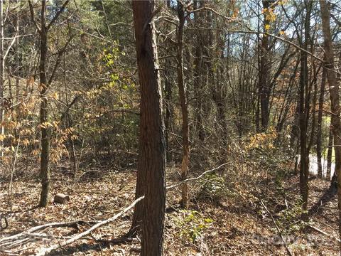 33 Crawford Cove Rd, Sylva, NC 28779 photo 6