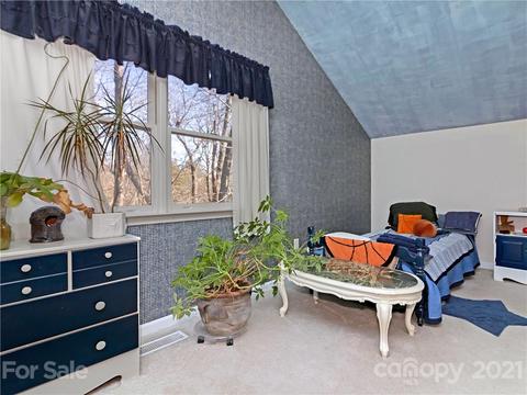 694 Tip Top Rd, Brevard, NC 28712 photo 22