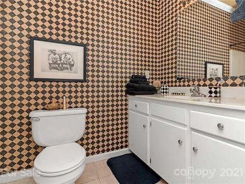 694 Tip Top Rd, Brevard, NC 28712 photo 17