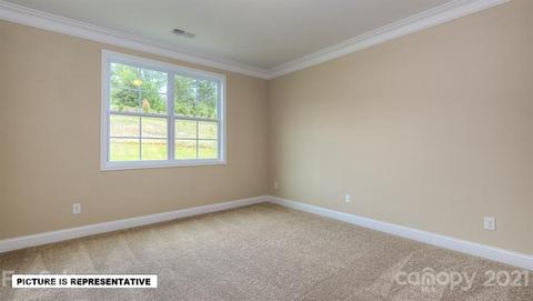 4386 Riverton Loop, Denver, NC 28037 photo 12