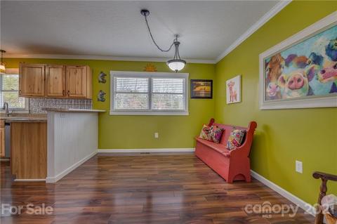 50 Owl Hollow Rd, Mill Spring, NC 28756 photo 39