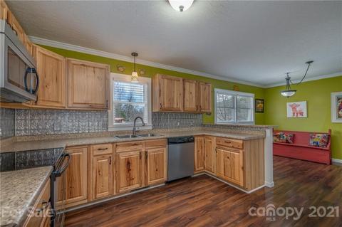 50 Owl Hollow Rd, Mill Spring, NC 28756 photo 37