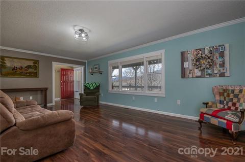 50 Owl Hollow Rd, Mill Spring, NC 28756 photo 42