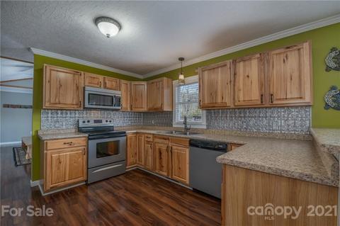 50 Owl Hollow Rd, Mill Spring, NC 28756 photo 29