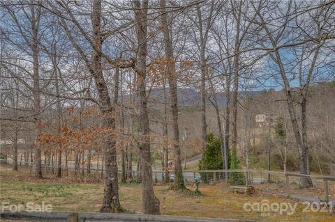 50 Owl Hollow Rd, Mill Spring, NC 28756 photo 28