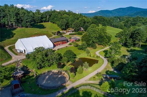 561 Piercy Rd, Green Mountain, NC 28740