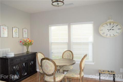 10872 Tailwater St, Davidson, NC 28036 photo 14