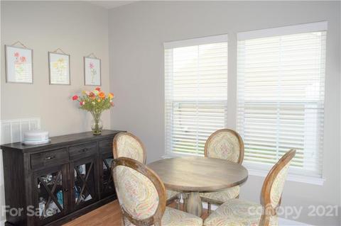 10872 Tailwater St, Davidson, NC 28036 photo 15