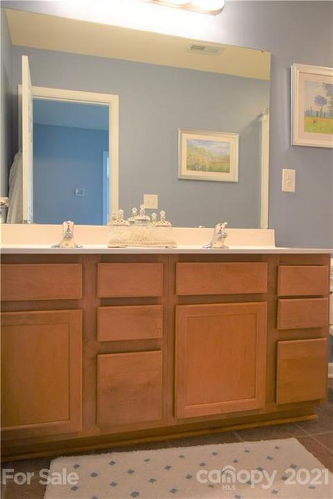10872 Tailwater St, Davidson, NC 28036 photo 20