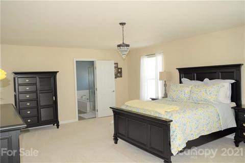10872 Tailwater St, Davidson, NC 28036 photo 26
