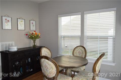10872 Tailwater St, Davidson, NC 28036 photo 16