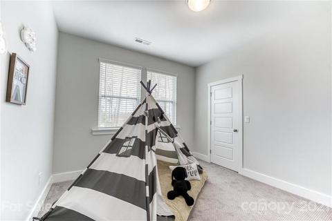 1703 Half Pint Loop, Fort Mill, SC 29708 photo 27
