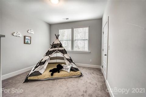 1703 Half Pint Loop, Fort Mill, SC 29708 photo 25