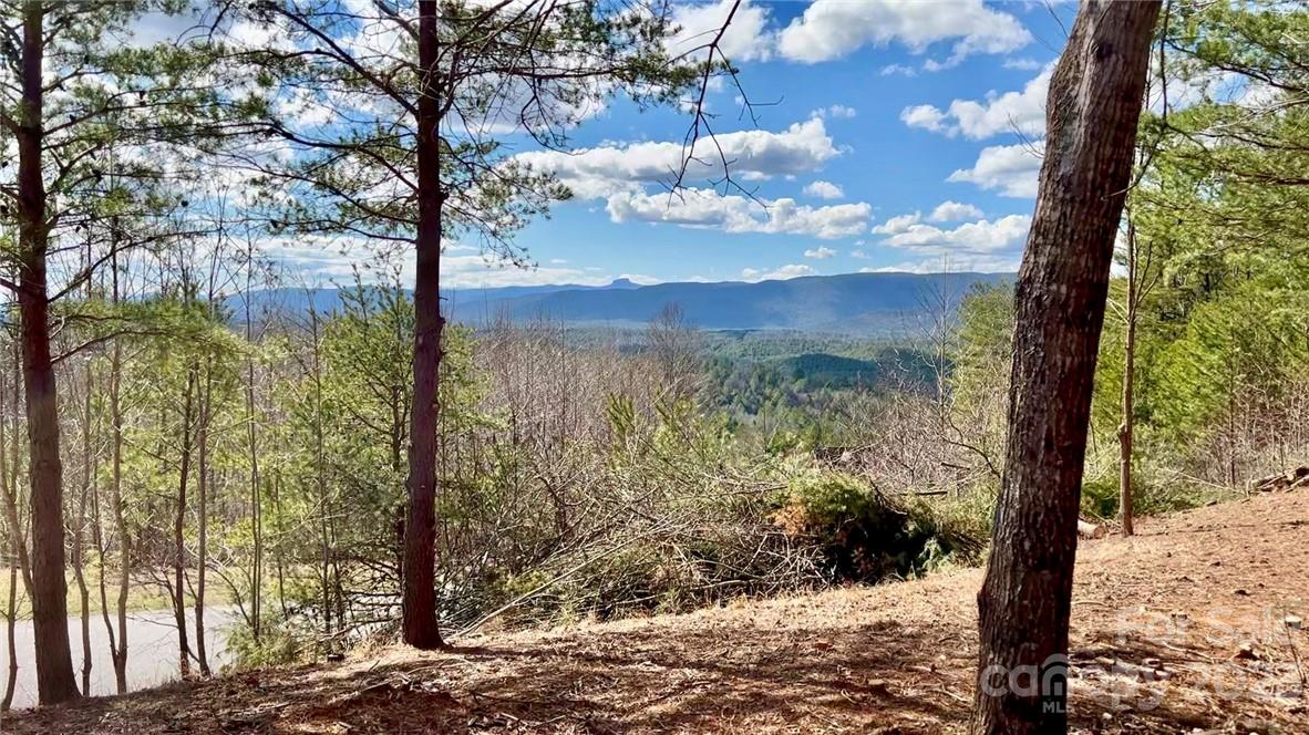 2 28 Acres Lot 162 Johns Ridge Pkwy Unit Lot 162  