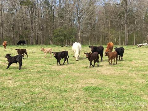 3853 Cimmeron Rd, Lancaster, SC 29720 photo 37