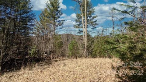 13 Moonshiners Trail #13A, Marshall, NC 28754