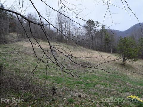 3007 Max Patch Rd, Clyde, NC 28721 photo 10