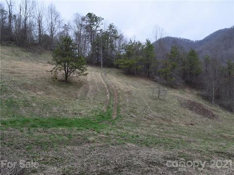 3007 Max Patch Rd, Clyde, NC 28721 photo 7
