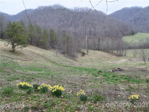 3007 Max Patch Rd, Clyde, NC 28721 photo 1