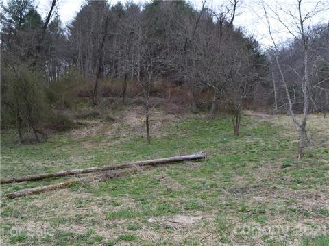 3007 Max Patch Rd, Clyde, NC 28721 photo 4