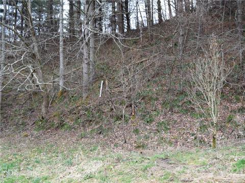 3007 Max Patch Rd, Clyde, NC 28721 photo 9