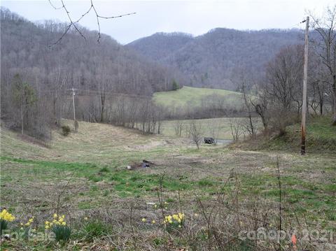 3007 Max Patch Rd, Clyde, NC 28721 photo 11