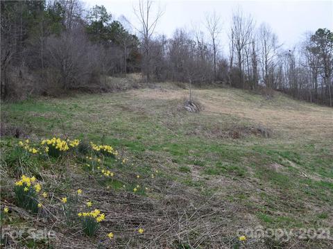 3007 Max Patch Rd, Clyde, NC 28721 photo 8