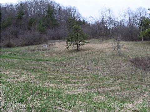 3007 Max Patch Rd, Clyde, NC 28721 photo 5