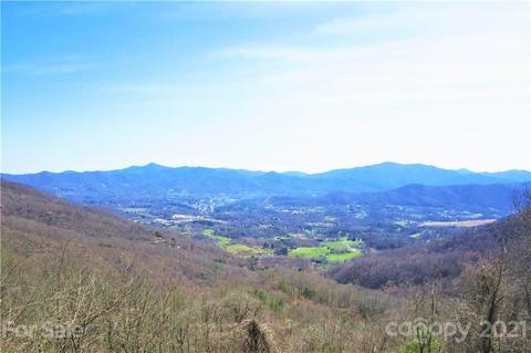 226 Hawk Holler Trl, Clyde, NC 28721 photo 33