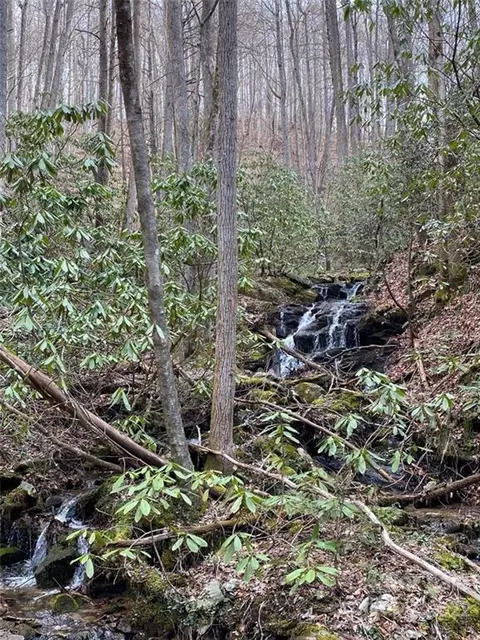 3199 High Shoals 14 Rd #14, Lenoir, NC 28645