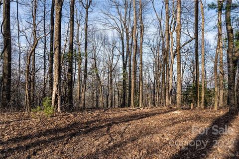 360 W Chestnut 11 Rdg #11, Zirconia, NC 28739
