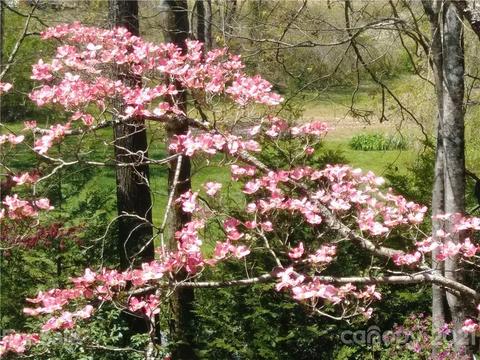 8260 E Fork Rd, Brevard, NC 28712 photo 5