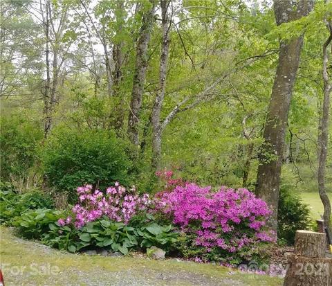 8260 E Fork Rd, Brevard, NC 28712 photo 41