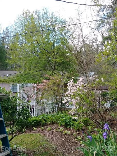 8260 E Fork Rd, Brevard, NC 28712 photo 4