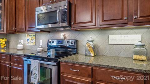 17331 Silas Place Dr, Davidson, NC 28036 photo 21