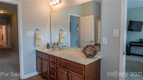 17331 Silas Place Dr, Davidson, NC 28036 photo 34