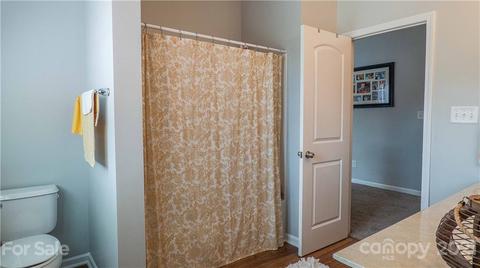 17331 Silas Place Dr, Davidson, NC 28036 photo 35