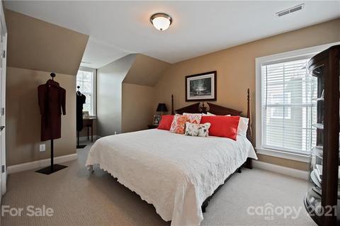 258 Harper Lee St, Davidson, NC 28036 photo 20