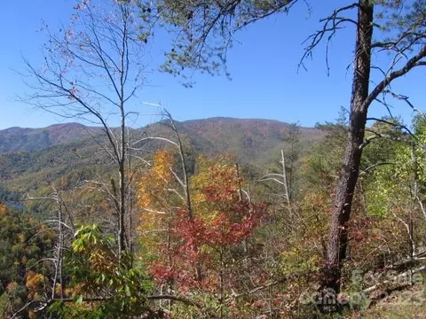 14 Blue Vista 14 Rd #14, Canton, NC 28716