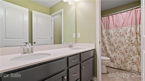 16607 Stonecutter Ln, Davidson, NC 28036 photo 23