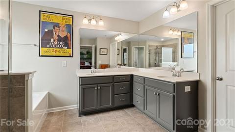 16607 Stonecutter Ln, Davidson, NC 28036 photo 21
